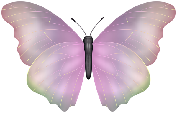 Butterfly Pink PNG Clipart Image | Gallery Yopriceville - High-Quality