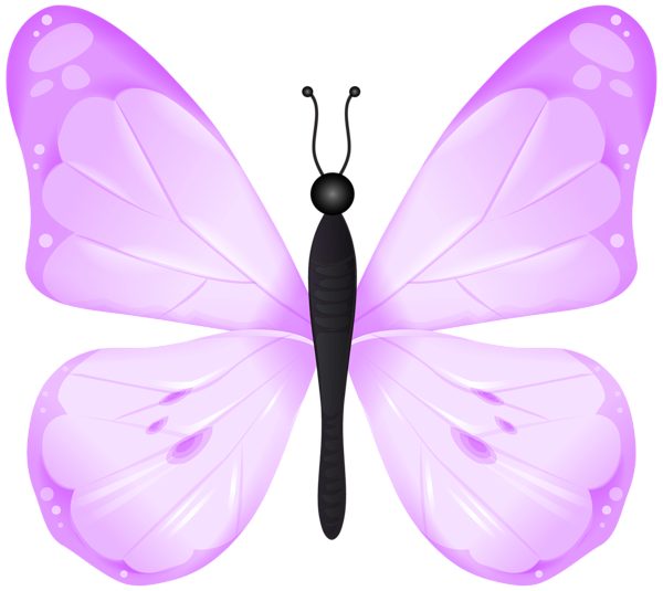 This png image - Butterfly Pink PNG Transparent Clipart, is available for free download