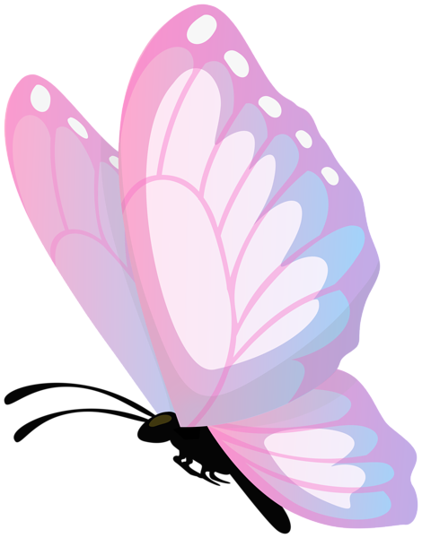 This png image - Butterfly Pink Transparent PNG Clipart, is available for free download