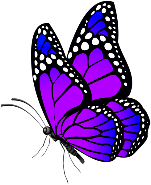 This png image - Butterfly Purple PNG Clip Art Image, is available for free download