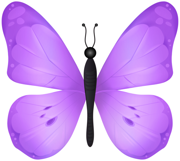 This png image - Butterfly Purple PNG Transparent Clipart, is available for free download