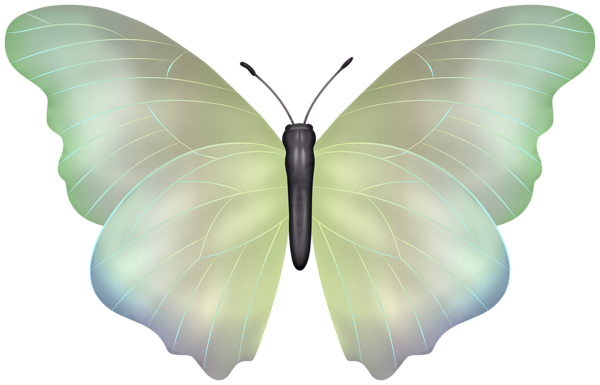 This png image - Butterfly Soft Green Clipart Image, is available for free download