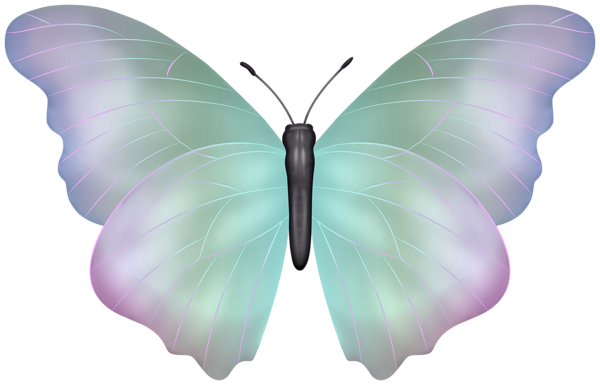 This png image - Butterfly Soft Multicolored Clipart Image, is available for free download