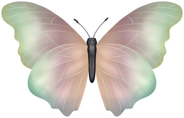 This png image - Butterfly Soft PNG Clipart Image, is available for free download