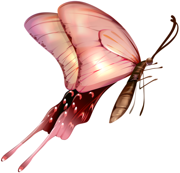 This png image - Butterfly Transparent Clip Art Image, is available for free download