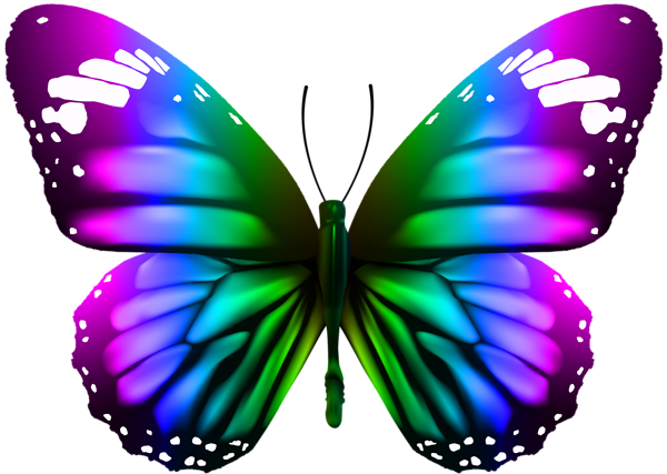 This png image - Butterfly Transparent Clip Art PNG Image, is available for free download