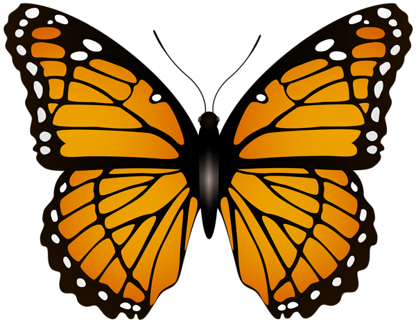 Butterfly Transparent Image | Gallery Yopriceville - High-Quality