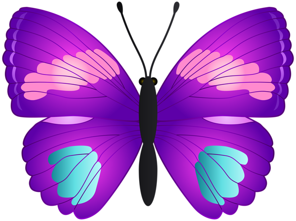 This png image - Butterfly Transparent PNG Clip Art, is available for free download