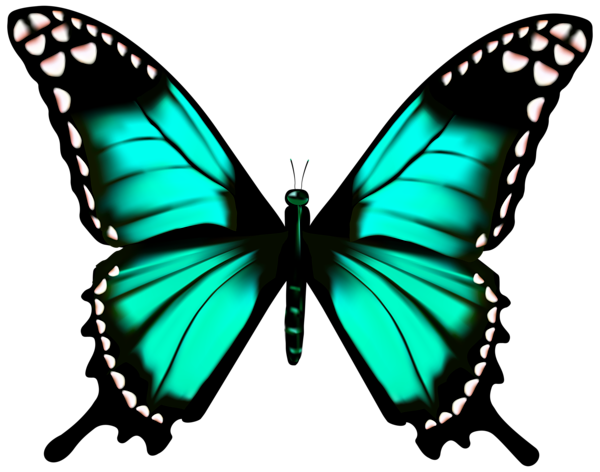 Butterfly Transparent PNG Clip Art Image | Gallery Yopriceville - High ...