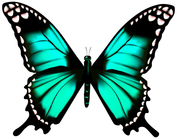 This png image - Butterfly Transparent PNG Clip Art Image, is available for free download