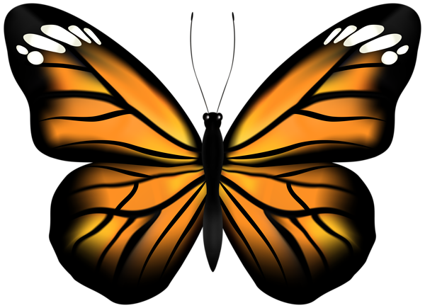 This png image - Butterfly Transparent PNG Clipart, is available for free download