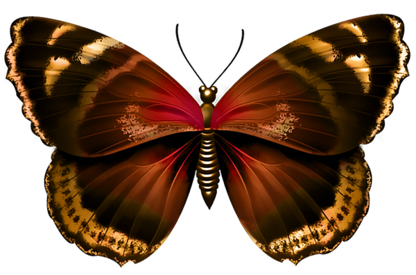 This png image - Butterfly Transparent PNG Image, is available for free download