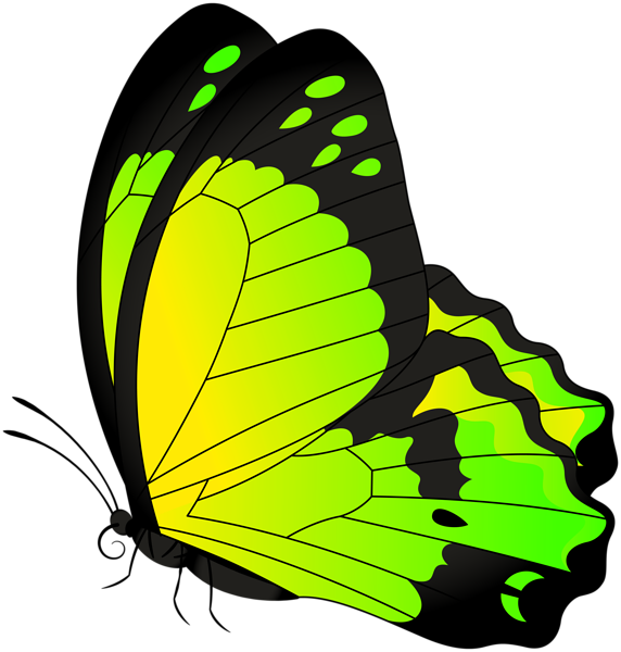 Butterfly Yellow Green Transparent Clip Art Image ...