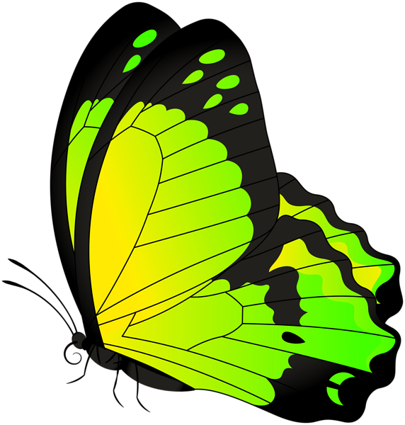 This png image - Butterfly Yellow Green Transparent Clip Art Image, is available for free download