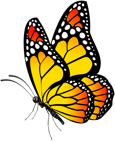 This png image - Butterfly Yellow PNG Clip Art Image, is available for free download
