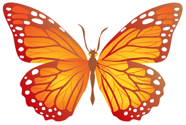 This png image - Butterfly with Yellow PNG Image, is available for free download