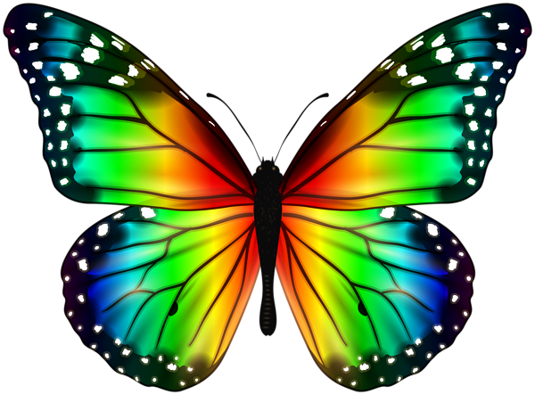 This png image - Colorful Butterfly PNG Clipart, is available for free download