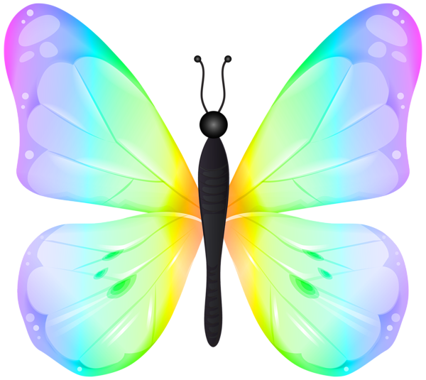 This png image - Colorful Butterfly PNG Transparent Clipart, is available for free download