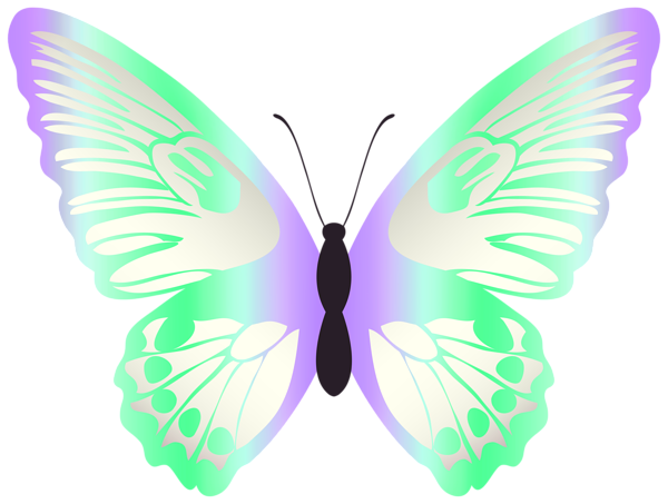 This png image - Colorful Butterfly Violet PNG Transparent Clipart, is available for free download