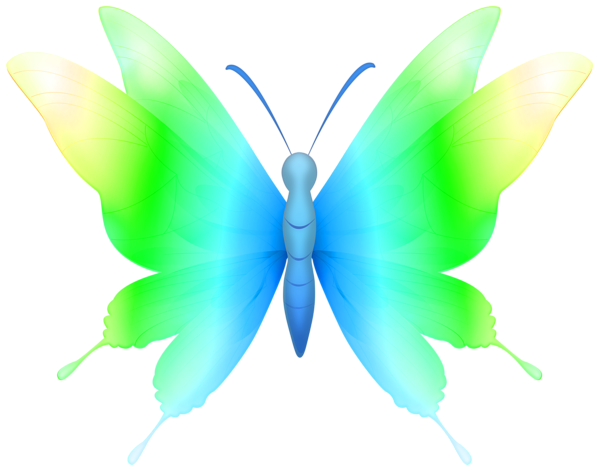 This png image - Decorative Butterfly Colorful Green PNG Clipart, is available for free download
