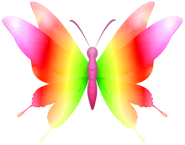 This png image - Decorative Butterfly Colorful PNG Clipart, is available for free download