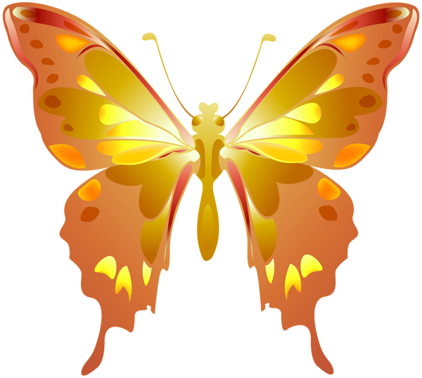 This png image - Decorative Butterfly Orange, is available for free download