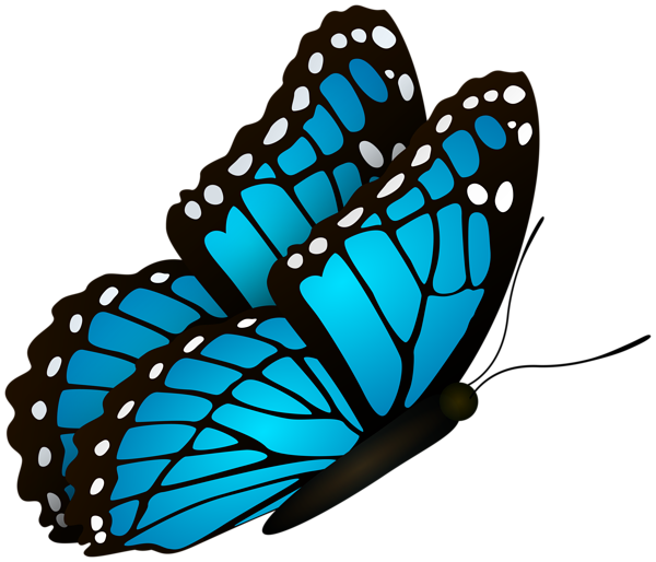 Flying Butterfly Blue Clipart Image | Gallery Yopriceville - High ...