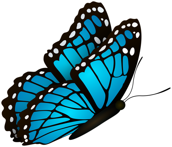 This png image - Flying Butterfly Blue Clipart Image, is available for free download