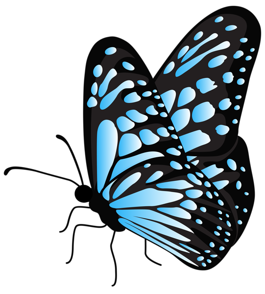 This png image - Flying Butterfly Blue Transparent PNG Clipart, is available for free download
