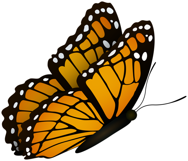 This png image - Flying Butterfly Clipart Image, is available for free download