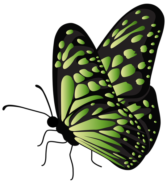 This png image - Flying Butterfly Green Transparent PNG Clipart, is available for free download