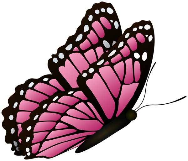 Flying Butterfly Pink Clipart Image | Gallery Yopriceville ...