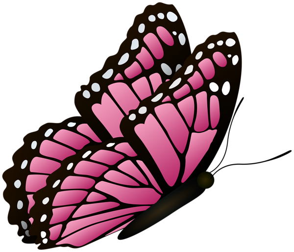 This png image - Flying Butterfly Pink Clipart Image, is available for free download