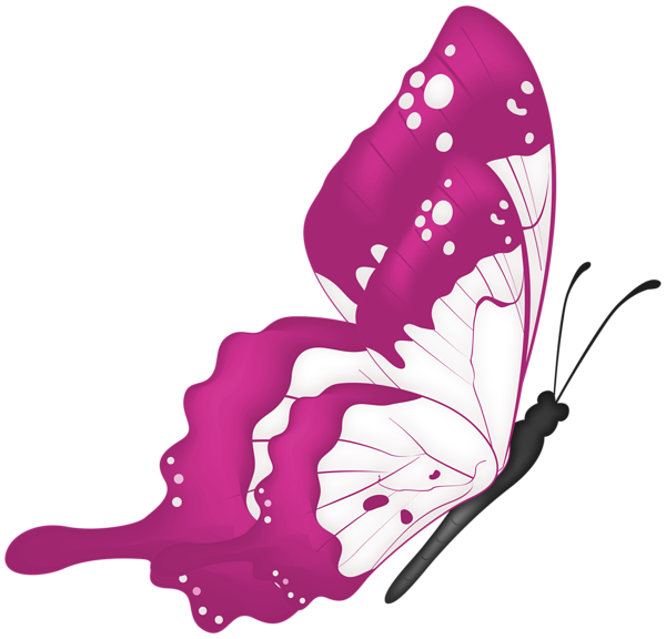 This png image - Flying Butterfly Pink PNG Transparent Clipart, is available for free download