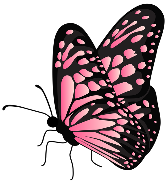 This png image - Flying Butterfly Pink Transparent PNG Clipart, is available for free download