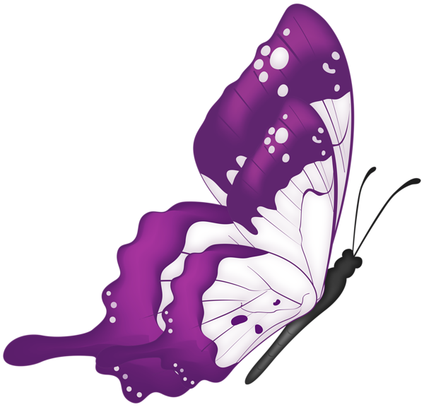 This png image - Flying Butterfly Purple PNG Transparent Clipart, is available for free download