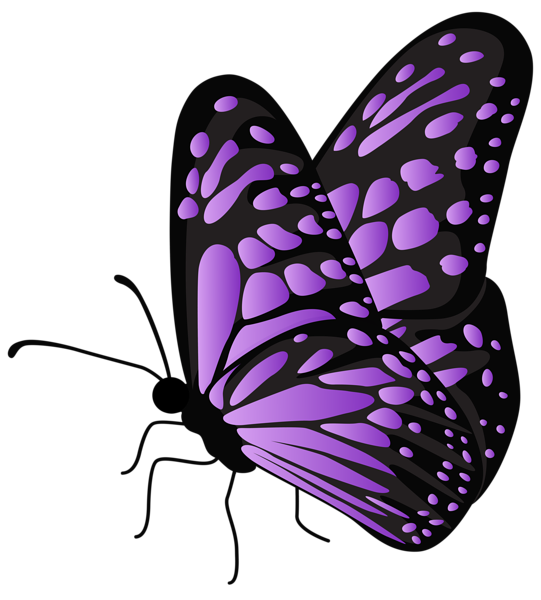 Flying Butterfly Purple Transparent PNG Clipart | Gallery Yopriceville ...