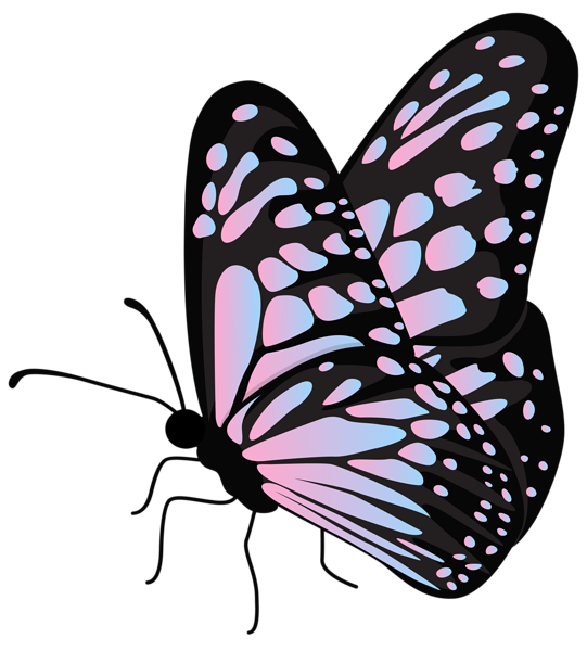 Flying Butterfly Transparent PNG Clipart | Gallery Yopriceville - High ...