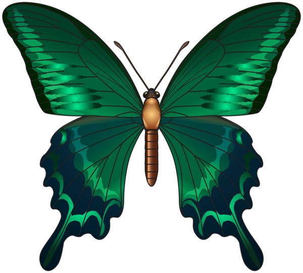This png image - Green Butterfly PNG Clip Art Image, is available for free download
