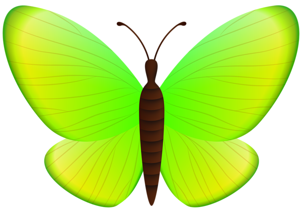 This png image - Green Butterfly PNG Clipart, is available for free download