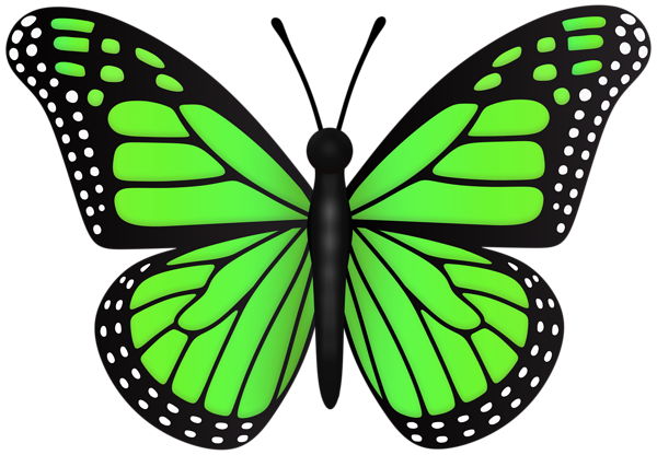This png image - Green Butterfly Transparent PNG Clipart, is available for free download