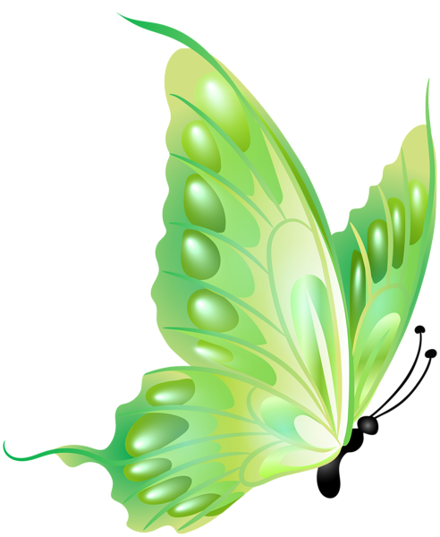 This png image - Green Butterfly Transparent PNG Clipart, is available for free download