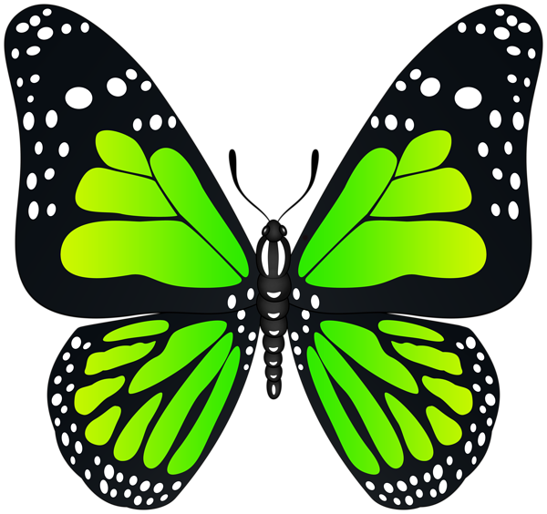 Green Butterfly Transparent PNG Image | Gallery Yopriceville - High ...