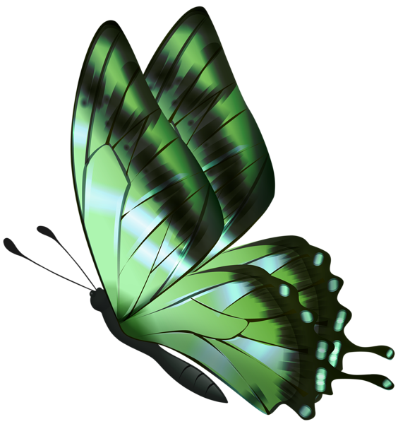 This png image - Green Flying Butterfly PNG Clipart, is available for free download