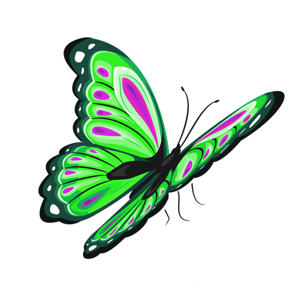 This png image - Green and Pink Butterfly PNG Clipart Picture, is available for free download