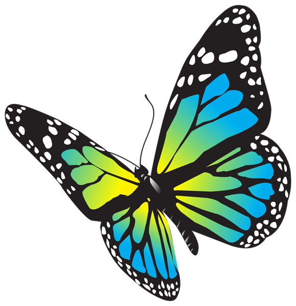 This png image - Large Butterfly PNG Clip Art Image, is available for free download