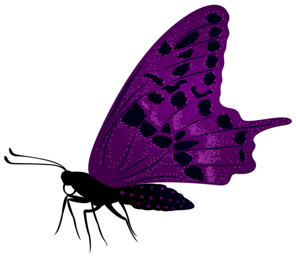 This png image - Large Purple Butterfly PNG Clip Art Image, is available for free download