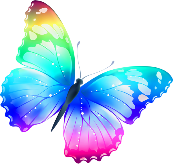 This png image - Large Transparent Multi Color Butterfly PNG Clipart, is available for free download