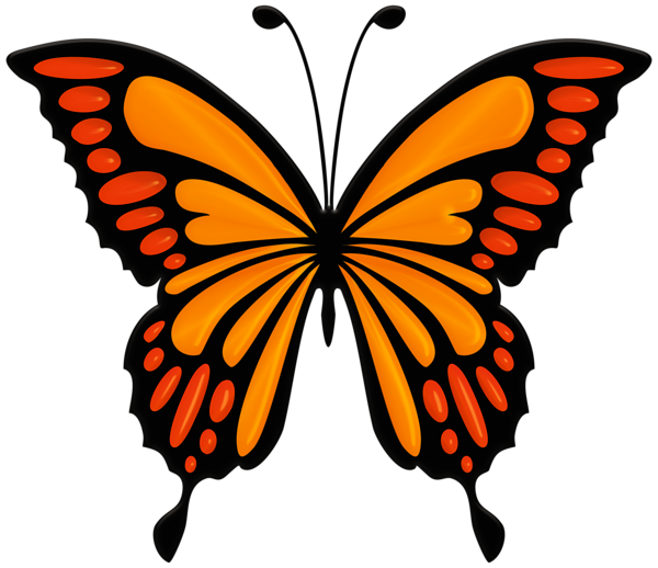 This png image - Orange Butterfly PNG Clip Art Image, is available for free download