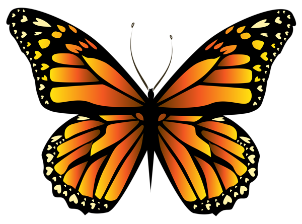 This png image - Orange Butterfly PNG Clipar, is available for free download